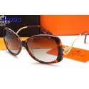 Hermes Sunglasses 18 RS14195
