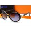 Hermes Sunglasses 11 RS00203