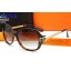 Hermes Sunglasses 34 Sunglasses RS09296
