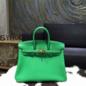 Hermes Birkin 25cm Veau Crispe Togo Calfskin Bag Hand Stitched Gold Hardware, Bambou 1K RS03390