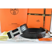 Hermes Belt 2016 New Arrive - 164 RS17691