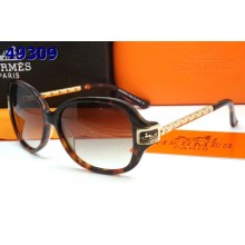 Hermes Sunglasses 34 Sunglasses RS09296