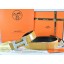 Designer Hermes Belt 2016 New Arrive - 273 RS01644