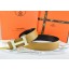 Fake Hermes Belt 2016 New Arrive - 329 RS07542