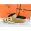 Fake Hermes Belt 2016 New Arrive - 379 RS19604