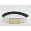 Hermes Belt 2016 New Arrive - 954 RS15914