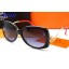 Hermes Sunglasses 22 RS10294