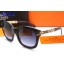 Hermes Sunglasses 29 RS20293