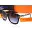 Hermes Sunglasses 29 RS20293