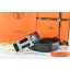 Replica AAAAA Hermes Belt 2016 New Arrive - 319 RS12375