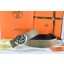 Replica Hot Hermes Belt 2016 New Arrive - 810 RS08843